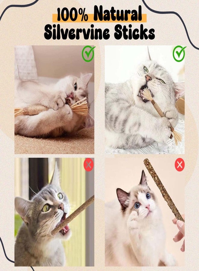 Homeaura Silvervine Cat Toy - 1 Pack, Natural Matatabi Sticks for Indoor Cats, Kitten Chew Toys, Aggressive Chewers, Dental Toy for Kitten Teeth Cleaning - Image 4